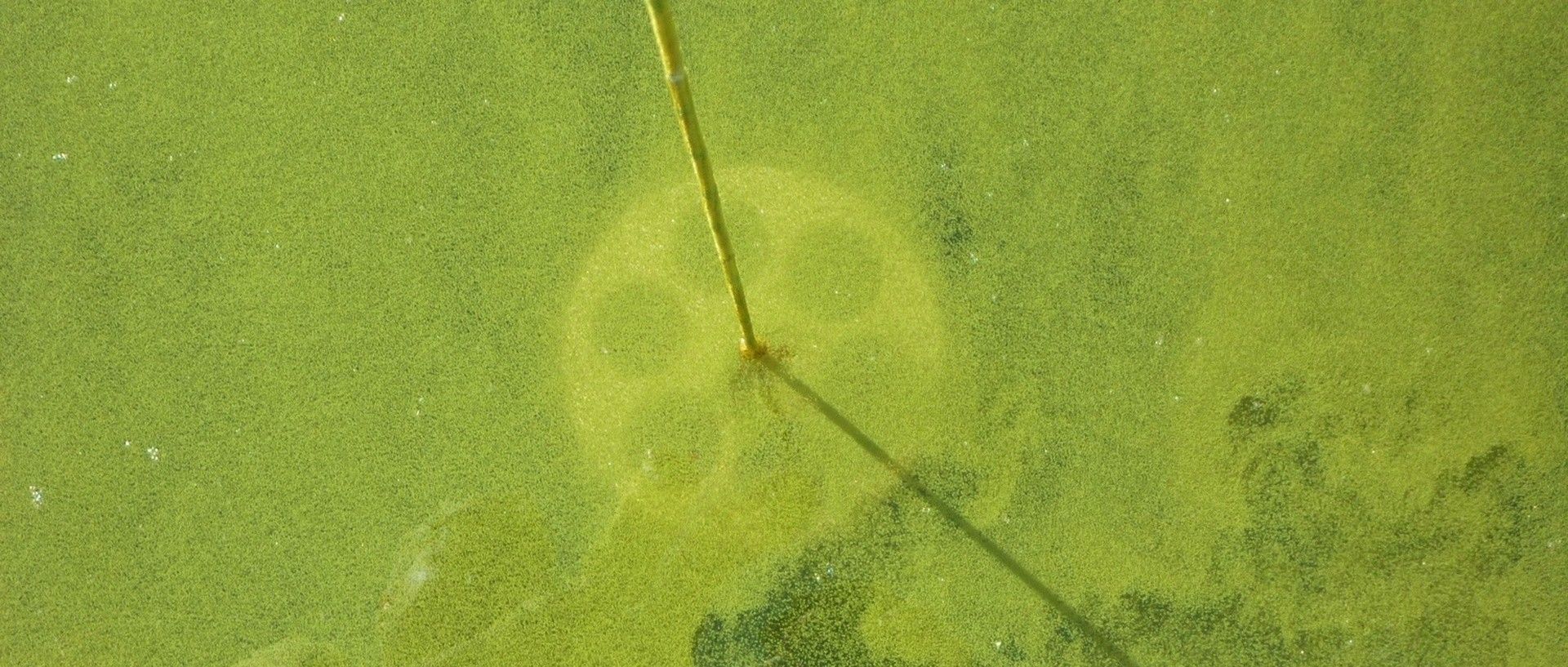 Hydrologie